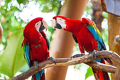 《HIGH ON LIFE》新预告短片公布 官宣10＆25发行